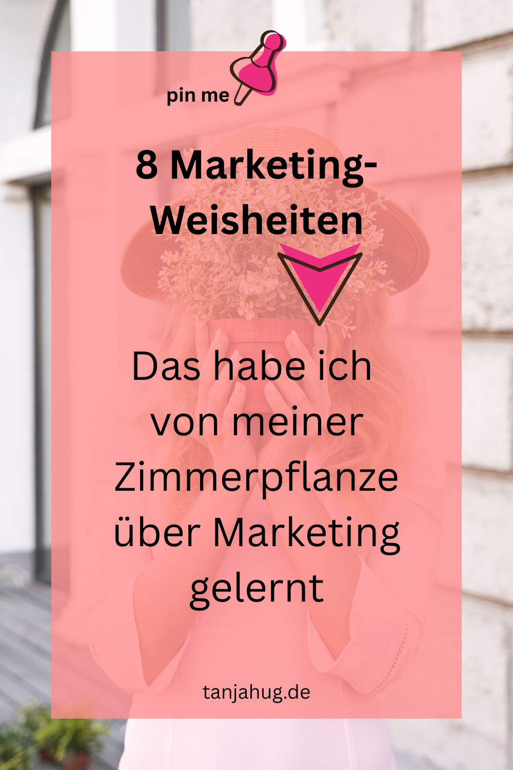 Marketing-Weisheiten meiner Zimmerpflanze