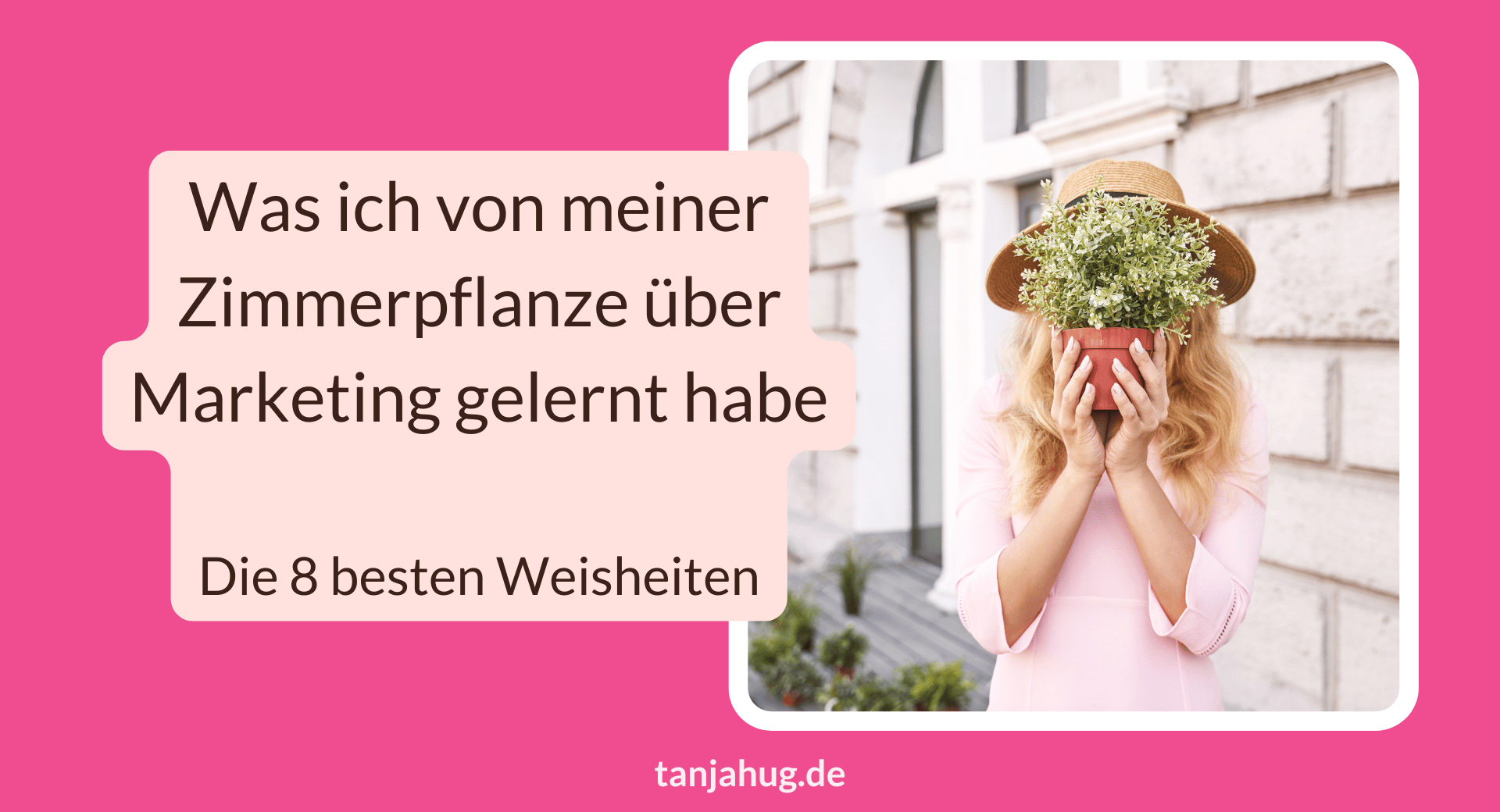 8 Marketing-Weisheiten meiner Zimmerplanze